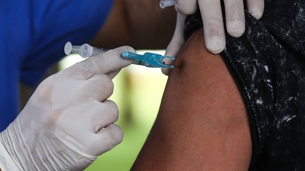 Anvisa atualiza composição de vacinas contra gripe para 2025; saiba o que mudou