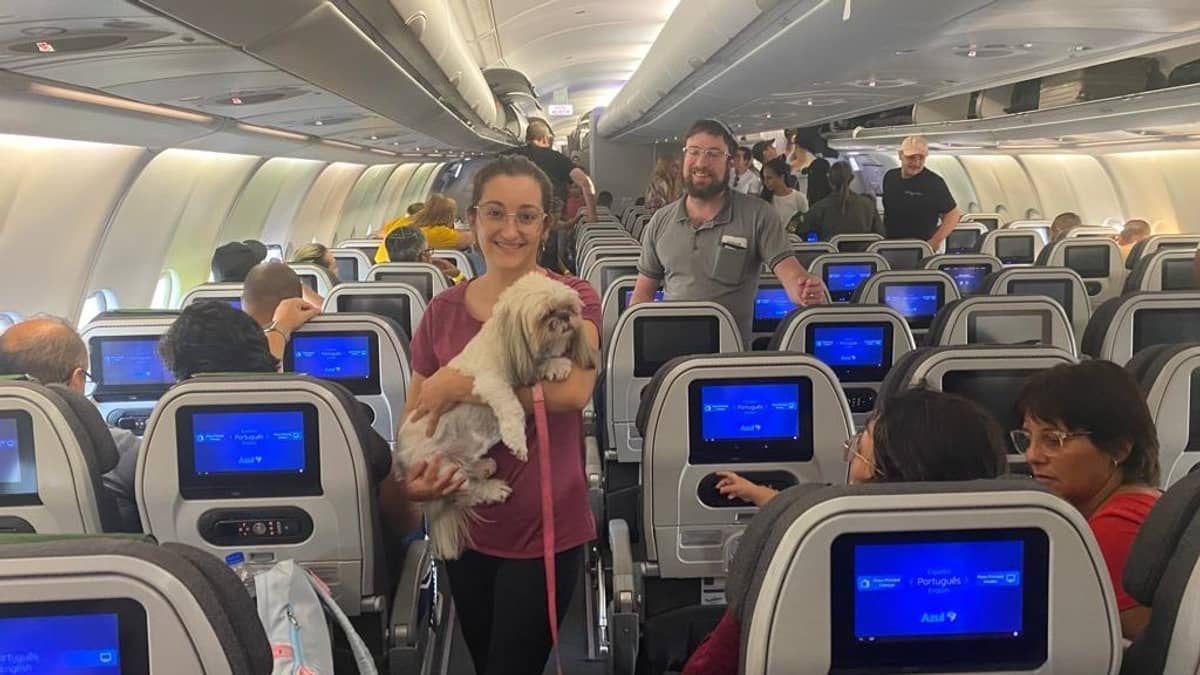 Segundo voo de brasileiros resgatados de Israel tem 212 passageiros e quatro pets