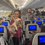 Segundo voo de brasileiros resgatados de Israel tem 212 passageiros e quatro pets