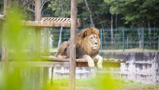 O Zoológico e Jardim Botânico fecha no dia sábado (7)
