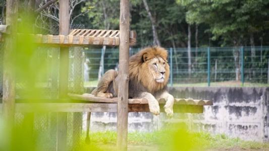 O Zoológico e Jardim Botânico fecha no dia sábado (7)