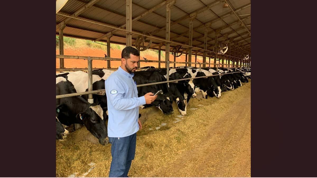 Conheça sete apps que facilitam a vida do produtor rural