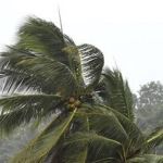 Cidades de Minas estão sob alerta de vendaval de até 60 km/h nesta quinta-feira (7); veja quais 