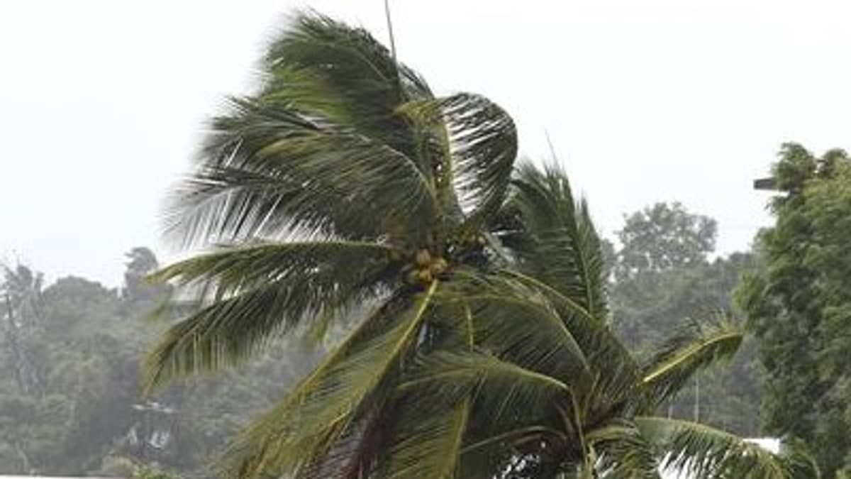 Vendaval: 35 cidades estão sob alerta de ventos fortes de até 60 km/h