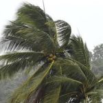 Vendaval: 35 cidades estão sob alerta de ventos fortes de até 60 km/h