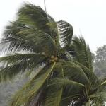 Vendaval: 35 cidades estão sob alerta de ventos fortes de até 60 km/h