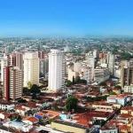 Confira a lista de vereadores eleitos em Uberaba nas Eleições de 2024