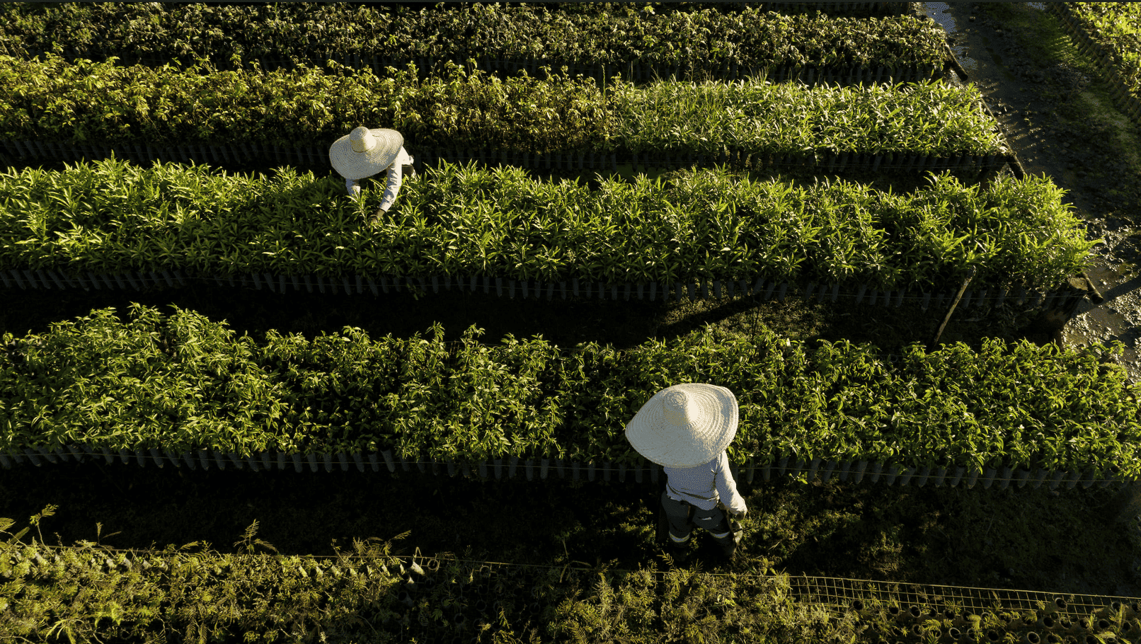 Samarco avança na retomada gradual das operações com foco em inovação, segurança e sustentabilidade