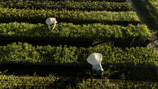 Samarco - Inovação, segurança e sustentabilidade