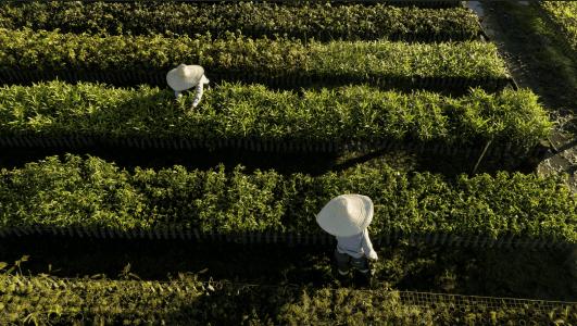 Samarco - Inovação, segurança e sustentabilidade