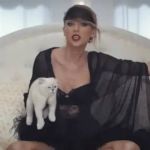 Conheça Blackie, o gato mais rico do mundo que tem uma fortuna avaliada em quase R$ 115 milhões