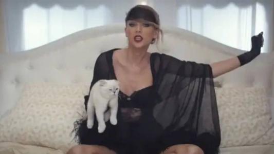 Olivia Benson, gato da cantora Taylor Swift também está na lista dos gatos que valem milhões