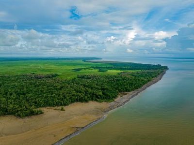 Estação Ecológica de Maracá-Jipioca