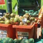 Onda de calor dobra volume de carcaças de coco verde coletadas em BH