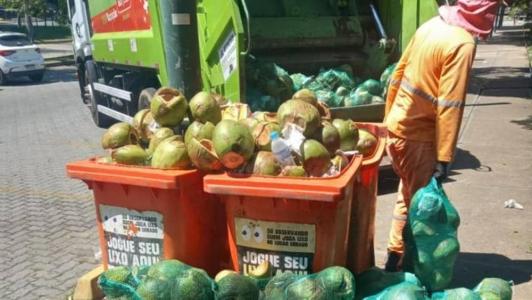 Onda de calor impacta o consumo de coco verde