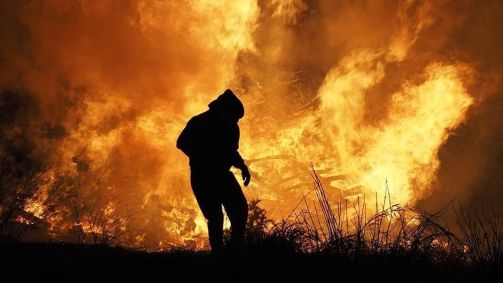 Ondas de calor, secas, inundações e incêndios afetaram a Ásia, Europa e América do Norte
