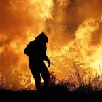 2023 deve ser o ano mais quente da história da humanidade: 'colapso climático'