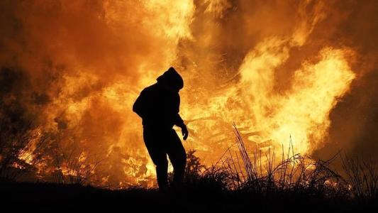 Ondas de calor, secas, inundações e incêndios afetaram a Ásia, Europa e América do Norte