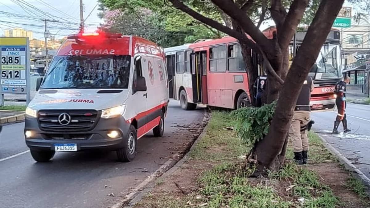 Ônibus com 30 passageiros bate em árvore na avenida Delta, em Belo Horizonte 
