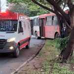 Ônibus com 30 passageiros bate em árvore na avenida Delta, em Belo Horizonte