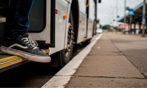 onibus de volta pra minha terra - camara municipal juiz de fora