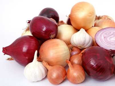 Cebolas