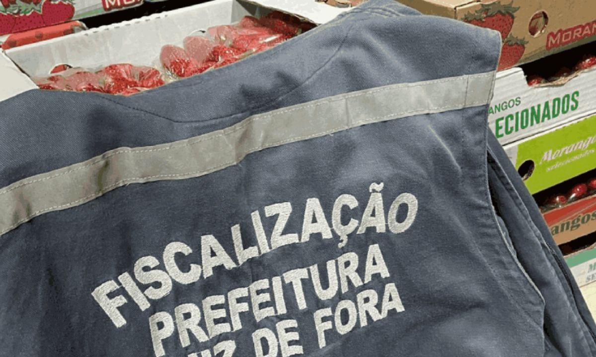 Mais de 570 itens irregulares são apreendidos em Juiz de Fora