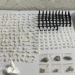 Polícia Militar apreende mais de 300 pedras de crack e cocaína em Montes Claros