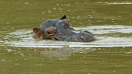 Operação custará ao todo R$ 18,5 milhões
