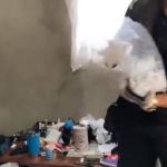 Quadrilha suspeita de torturar moradores do Aglomerado da Serra é alvo de operação da polícia