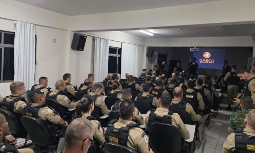 Operação Hercules X deflagrada pelo MPMG e Polícia Militar na Zona da Mata
