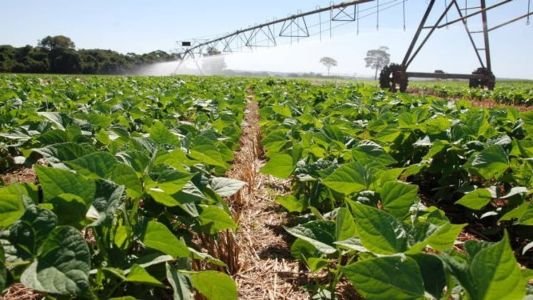 Operações agropecuárias sustentáveis terão um percentual de subvenção maior