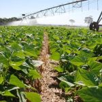 Mapa libera R$ 1 bilhão para o seguro rural