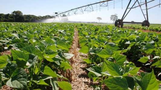 Operações agropecuárias sustentáveis terão um percentual de subvenção maior