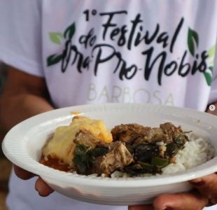 Culinária regional com ora-pro-nóbis é tema de festival no Circuito das Grutas.