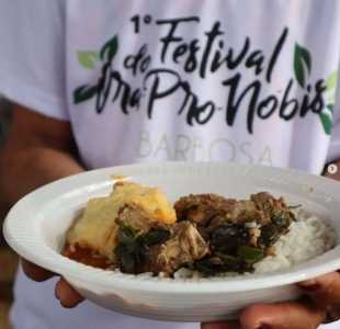 Culinária regional com ora-pro-nóbis é tema de festival no Circuito das Grutas.