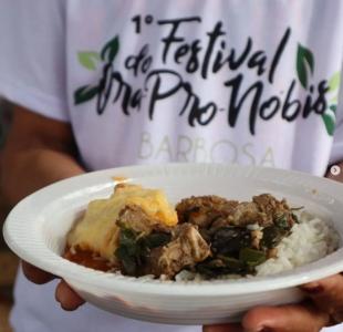 Culinária regional com ora-pro-nóbis é tema de festival no Circuito das Grutas.