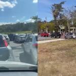 Chegada ao Zoológico de BH ‘trava’ trânsito na orla da Lagoa da Pampulha