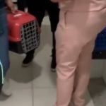 Vídeo: polícia investiga Bruna Surfistinha por abandono de animais