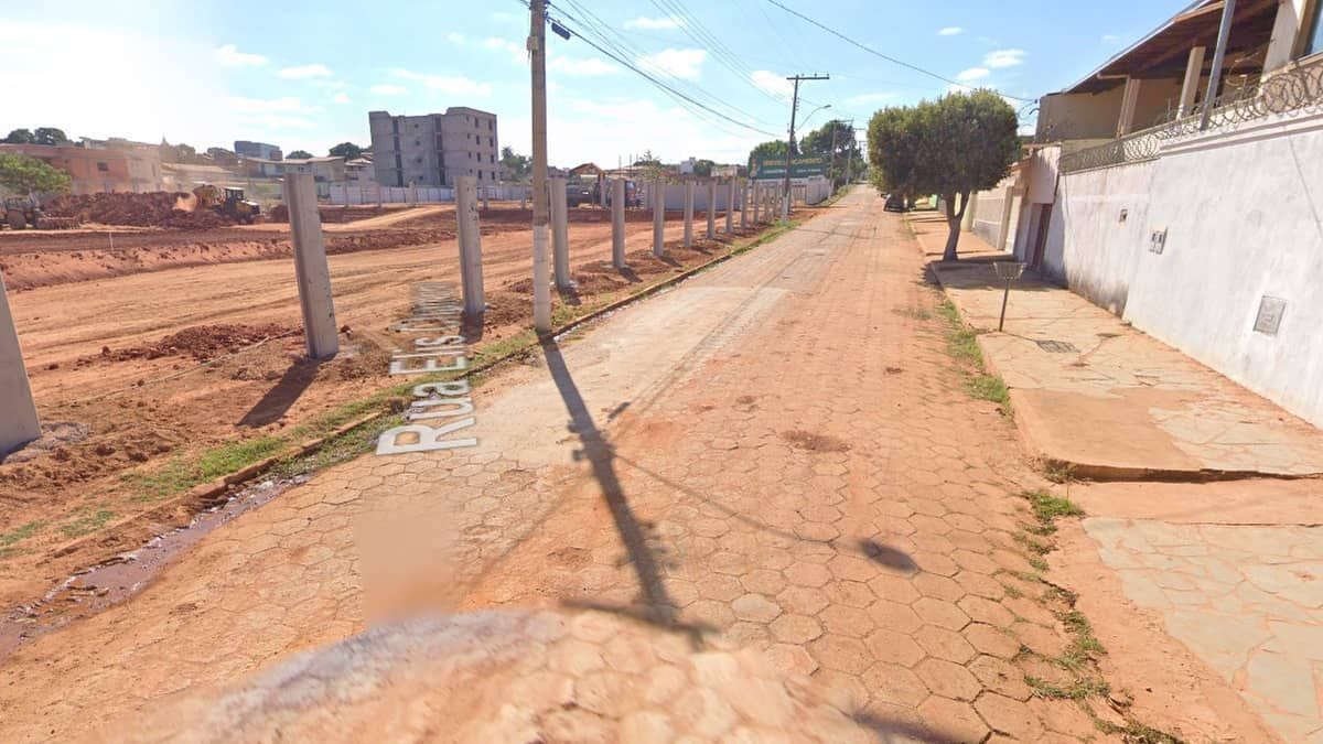 Filhotes de cães são encontrados mortos e amarrados a árvore em Minas Gerais