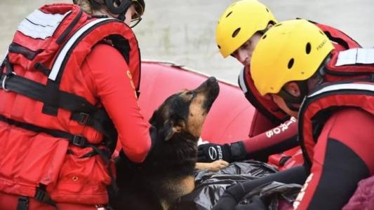 Os dois foram colocados no bote e cão ficou deitado sobre o dono