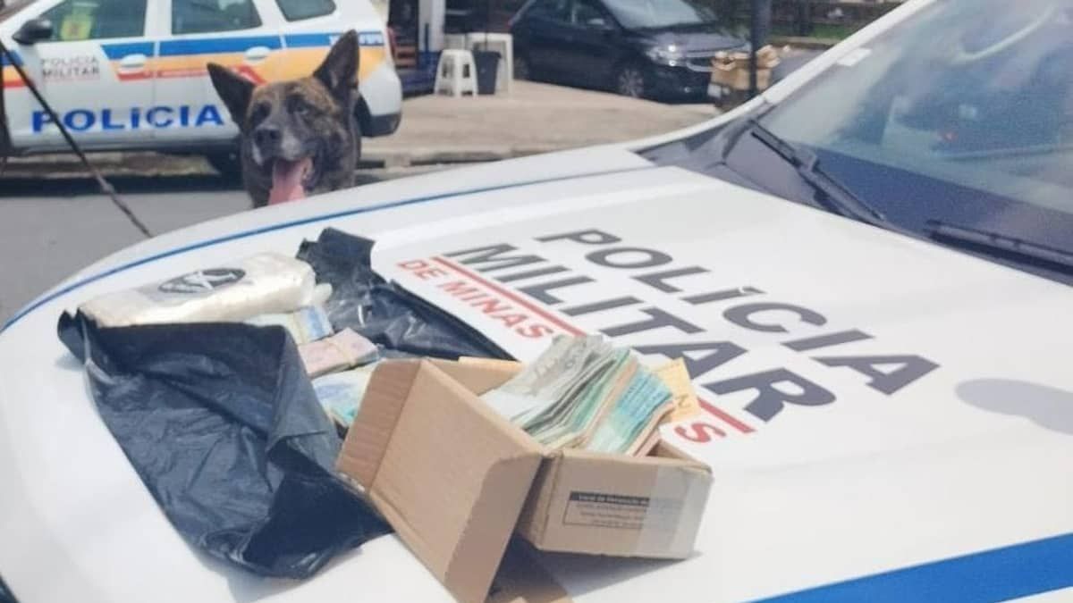 Polícia encontra 1 kg de cocaína em supermercado e donos são presos em BH