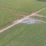 Estudantes de medicina se perdem em canavial e são resgatados pelo helicóptero dos bombeiros