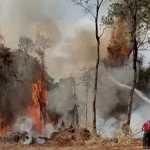 Incêndios florestais no Havaí deixam ao menos 36 mortos