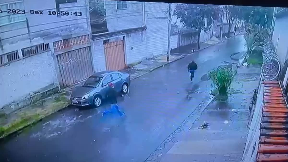 Ladrões roubam galpão, batem carro, fogem em mata e um é mordido por cachorro na Pampulha