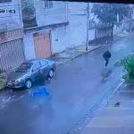 Ladrões roubam galpão, batem carro, fogem em mata e um é mordido por cachorro na Pampulha