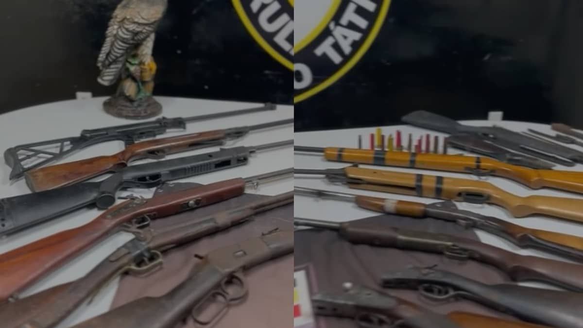Escopeta e espingarda: idoso de 87 anos é preso com mais de 10 armas na Grande BH  