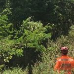 Praticante de paraglider fica preso em árvore e é resgatado por bombeiros em Minas 