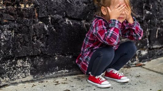 Os números gerais incluem idosos, crianças, pessoas com deficiência, entre outros