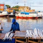 Peixes consumidos em 6 estados da Amazônia têm contaminação por mercúrio acima do limite aceitável, diz Fiocruz